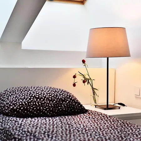 Domillion 3bdr Rooftop Terrace Ac P369 Vilnius
